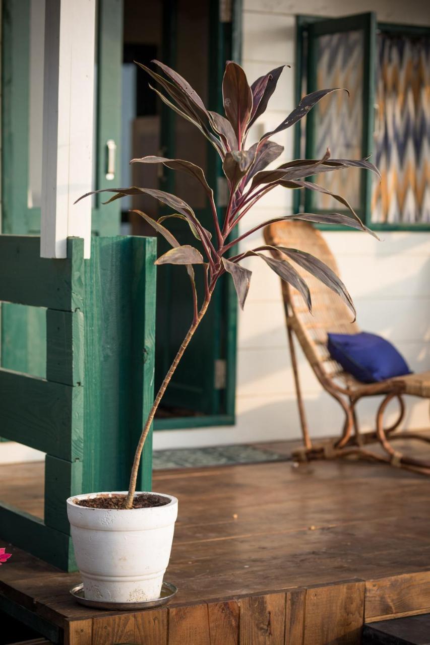 Nest Cottages 캔코나 외부 사진